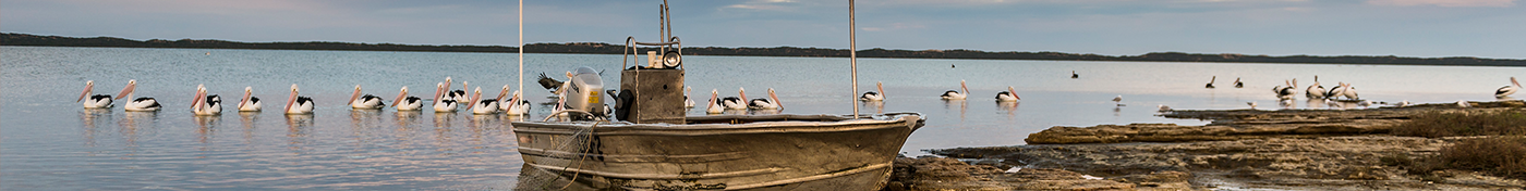 Coorong, Meningie South Australia