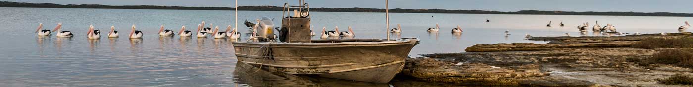 scenic coorong and lakes